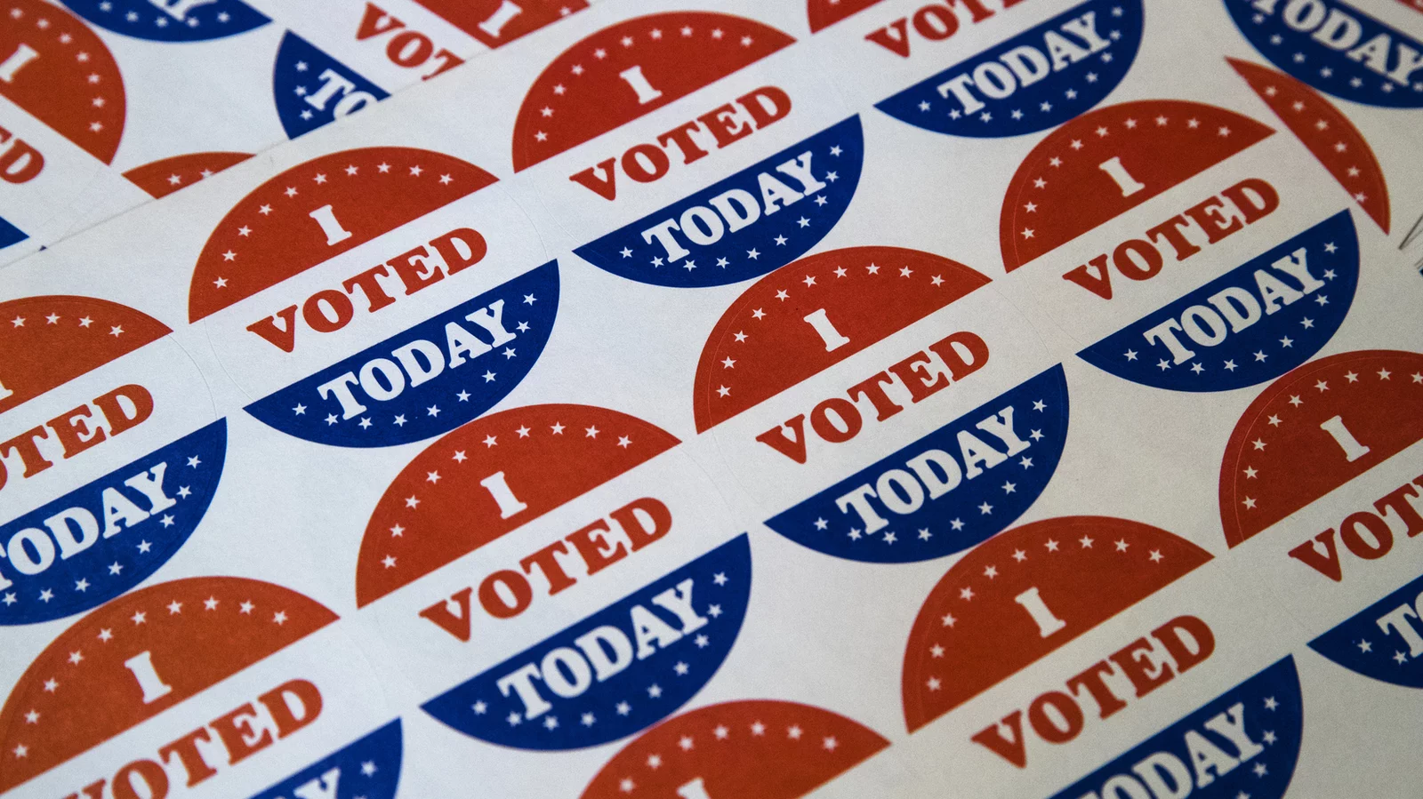 Vote! Vote! Vote!