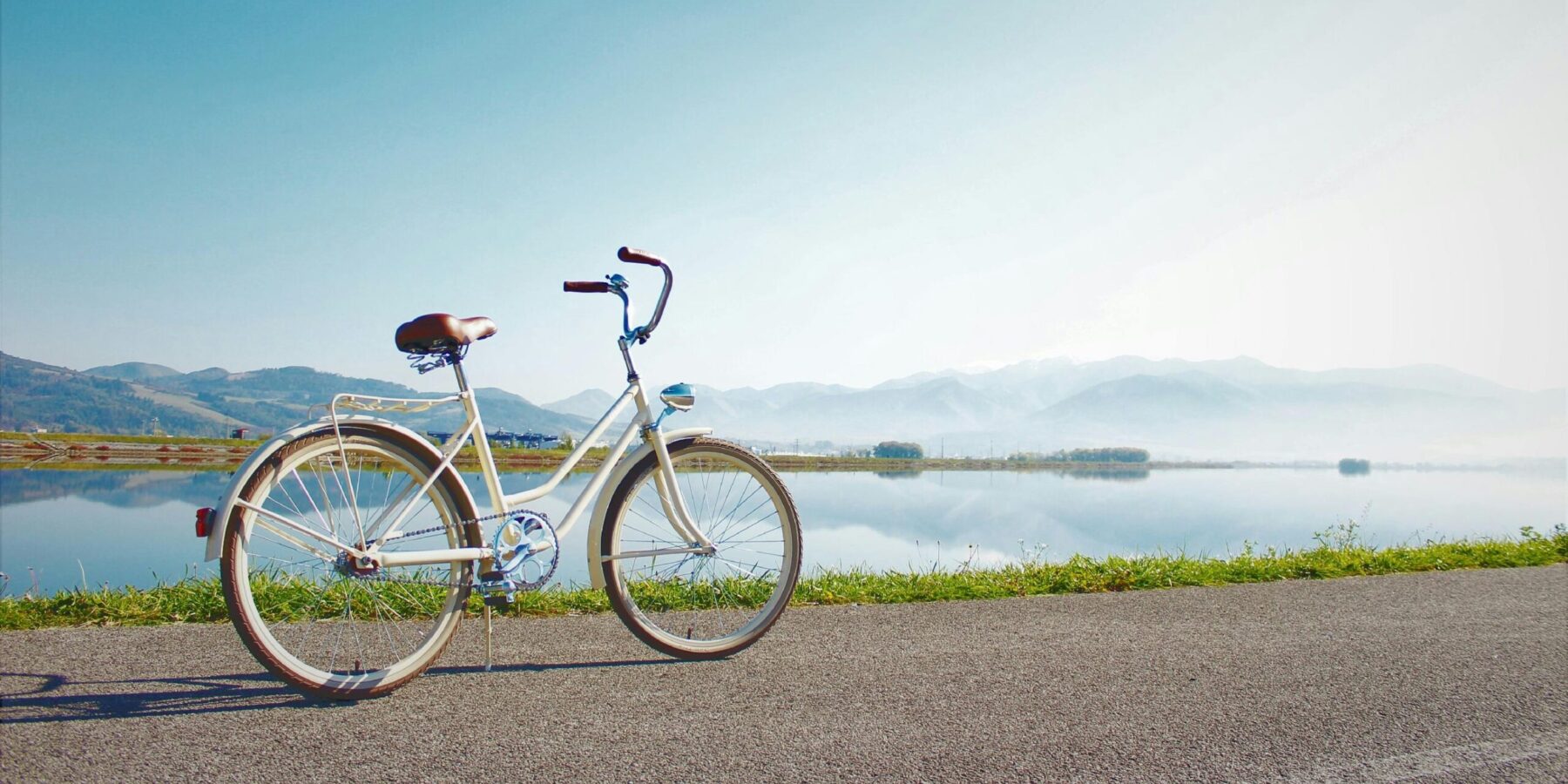 Advocate for Injured Cyclists